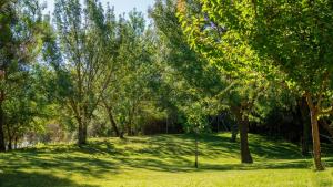 Vonkajšia záhrada v ubytovaní Molino Higueral Villanueva del Trabuco by Ruralidays