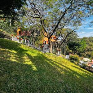 クエルナバカにあるVilla Colonial los Sabinosの木々と家の緑の庭