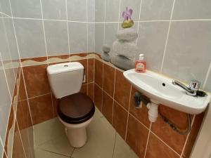 a bathroom with a toilet and a sink at Appartement T2 - vue campagne in Le Robert