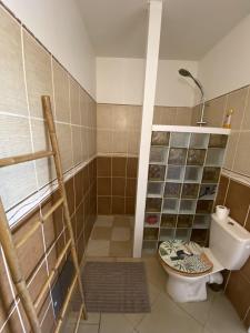 a bathroom with a toilet and a shower at Appartement T2 - vue campagne in Le Robert