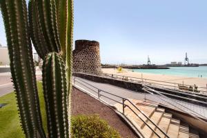 Un cactus à côté d'une passerelle à côté d'une plage dans l'établissement Puerto Playa 2, à Puerto del Rosario