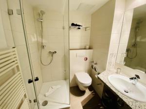 a bathroom with a shower and a toilet and a sink at Landhaus Immenbarg, Poseidon in Warnemünde