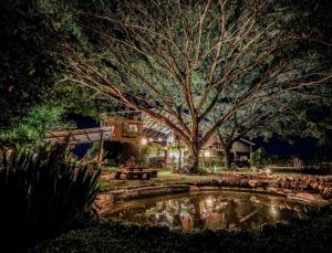 un estanque en un parque por la noche con un árbol en SuanGlangNa, en Phrae
