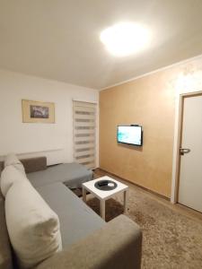 ein Wohnzimmer mit einem Sofa und einem Tisch in der Unterkunft Apartman Gogi in Zlatibor