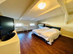 Schlafzimmer mit einem Bett und einem Flachbild-TV in der Unterkunft Villa Seevogel/Lachmöwe in Warnemünde
