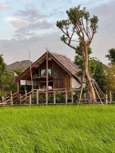 una casa de madera con un árbol delante en Nakhao Cottage, en Ban Wat Tan