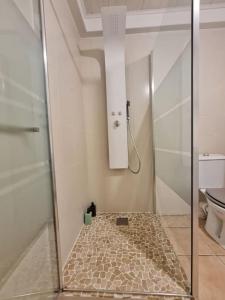 a shower with a glass door in a bathroom at Gite du bibicherat in Largillay-Marsonnay