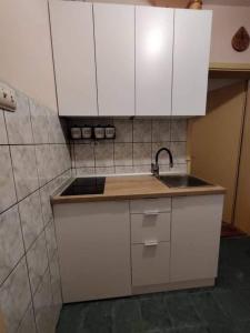 茲拉蒂博爾的住宿－Apartman Gogi，厨房配有白色橱柜和水槽