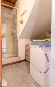 a bathroom with a shower and a toilet at Les Gîtes Chapô Julô in Giez +87 photos
