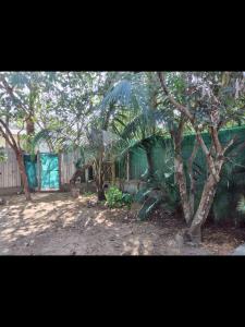 Ein Gebäude mit einem Haufen Bäume im Hof. in der Unterkunft Pirates Arms Backpackers in Kampot