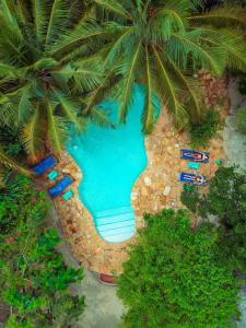 uma vista sobre uma piscina com cadeiras e palmeiras em Demani Lodge Zanzibar em Paje