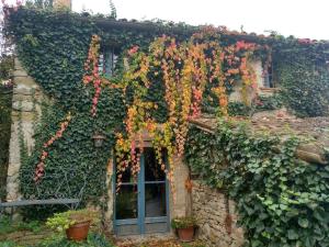 a building covered in ivy with a window at Antico-Borgo-Le-Torricelle-Alle-3 in Piandimeleto
