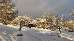 a house covered in snow next to trees at Chalet Mounette Ski Sauna Lac Embrun in Puy-Sanières