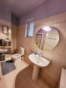 a bathroom with a sink and a toilet and a mirror at Dilion Guest Apartment in Dhílesi