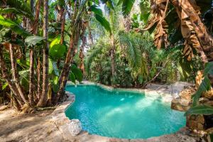 een zwembad in het midden van een jungle met bomen bij Apartamento Cortijo Rural Las Aves in Jimena de la Frontera