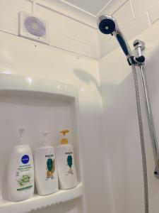 a bathroom with three bottles of detergents on a shelf at 阳光花园小屋，近沙滩 in Kingston Beach