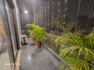 d'un balcon avec des plantes en pot sur un mur. dans l'établissement Pratishtha 4BHK, DLF Phase 1, Gurgaon, à Gurgaon