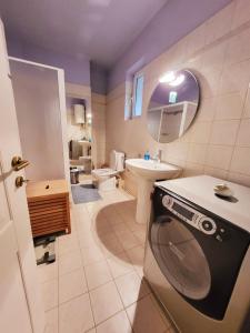 a bathroom with a sink and a washing machine at Dilion Guest Apartment in Dhílesi
