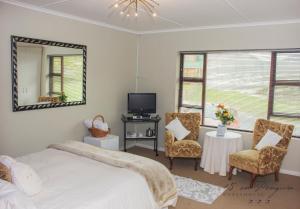 a bedroom with a bed and two chairs and a tv at 15 On Penguin Guesthouse in Simonʼs Town