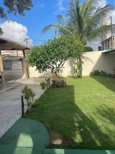 um quintal com um banco e uma palmeira em ACM Flat em Natal