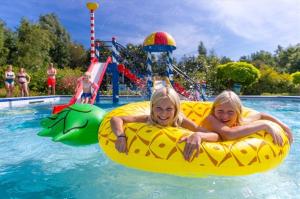 Het zwembad bij of vlak bij Chalet Havenzicht Eernewoude