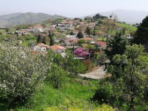 uma cidade numa colina com árvores e casas em VILLA EFTYXIA - Mendenitsa em Mendhenítsa