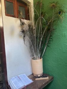a potted plant sitting on a table next to a wall at ACM Flat in Natal