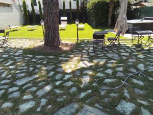 Zahrada ubytování B&B VILLA TOZZA