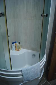 a shower with a glass door next to a toilet at Apartment Marina in Bar