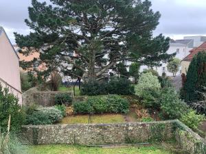 een tuin met een boom en een stenen muur bij Chic et cosy maison année 30 in Lorient