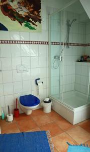 萊內斯塔特的住宿－Ferienwohnung Greiten，带淋浴、卫生间和浴缸的浴室