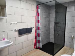 a bathroom with a shower and a sink at Fewo Bendig in Neuendorf-Sachsenbande