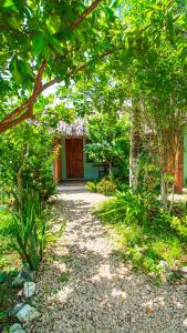 a path leading to a building with a wooden door at Las Palmas in Bacalar