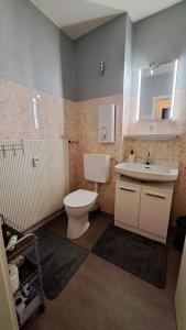 Koupelna v ubytování 1-Zimmer-Appartement Schöne Aussicht