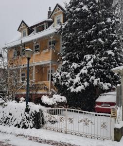 un albero innevato di fronte a una casa di Erika's Haus in der Sonne a Bad Grund