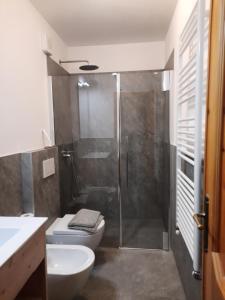 e bagno con doccia, servizi igienici e lavandino. di Residence Raffaella a Santa Caterina Valfurva