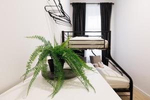 Postel nebo postele na pokoji v ubytování Central City Style Rooms by Home2 + 37 fotografií