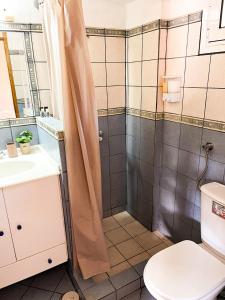 a bathroom with a shower and a toilet at Your Home in Argalasti in Argalasti