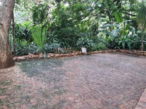 a brick walkway in a garden with a tree at The Crooked Forest in Pretoria +26 photos