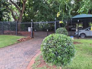 a bush in front of a wrought iron fence at The Crooked Forest in Pretoria