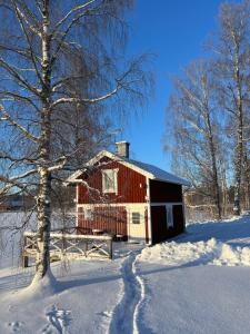 a red barn in the snow with a trail at Kaffestugan in Hällefors