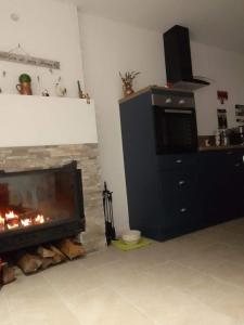 sala de estar con chimenea y TV en COLETTE 