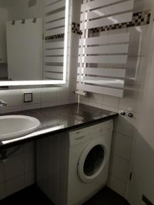 een badkamer met een wasmachine en een wastafel bij Seeschloss Wohnung 22 in Dahme