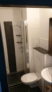 un bagno con doccia, WC e lavandino di Strandhotel Wohnung 59 a Dahme Altre 13 foto