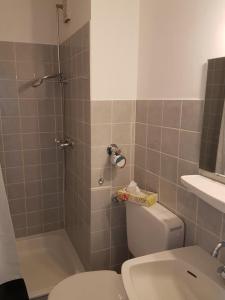 a bathroom with a toilet and a shower and a sink at Strandhotel Wohnung 62 in Dahme