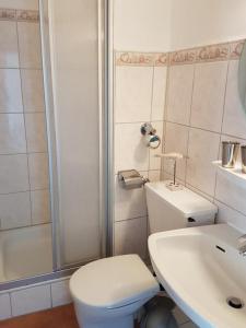 a bathroom with a toilet and a sink and a shower at Strandhotel Wohnung 69 in Dahme