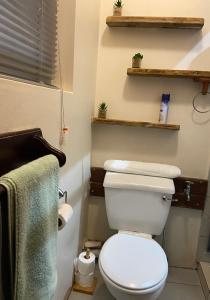 a bathroom with a white toilet and shelves at The Cottage on Roy Wright in Umkomaas
