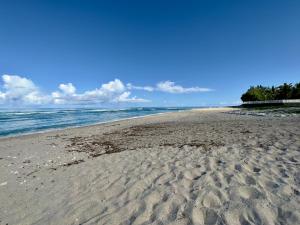 a sandy beach with a view of the ocean at Aigue-Marine - villa pieds dans l'eau avec piscine à Grand-Fond, Saint-Gilles-Les-Bains in Saint-Gilles les Bains +23 photos