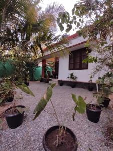 A garden outside SAND BEACH HOUSE VARKALA
