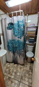 uma cortina de chuveiro na casa de banho com WC em Hostal Sol y Luna em Santiago